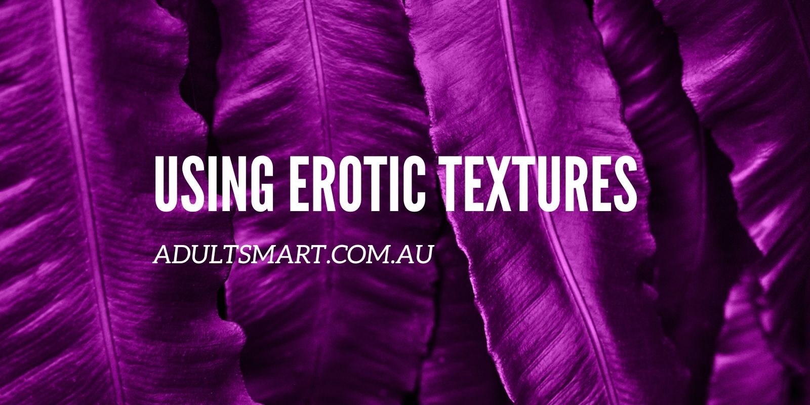 Erotic Art Collectors Australia